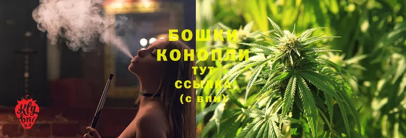 Бошки Шишки SATIVA & INDICA  blacksprut вход  Краснознаменск 